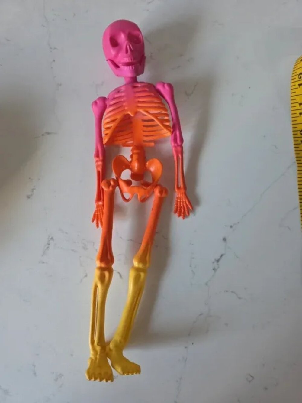 12" Poseable Colorful Skeleton Fun Halloween Decor